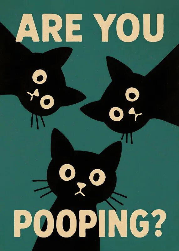 funny cat wall decor