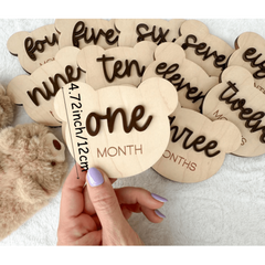 1 to 12 months baby milestone plaques