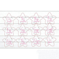 baby milestone cards with magnets