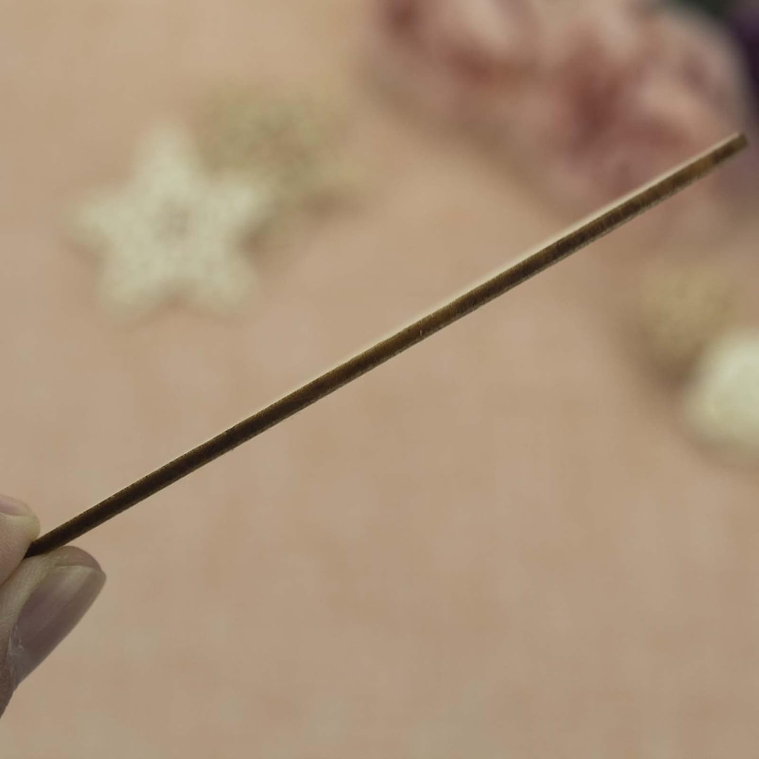 Close-up of a hand holding a thin stick against a blurred background