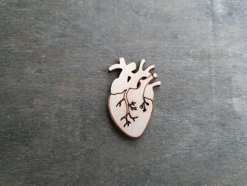 unfinished anatomical heart wood cutouts