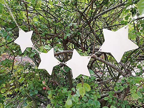 Star-shaped decorations hanging among green leaves