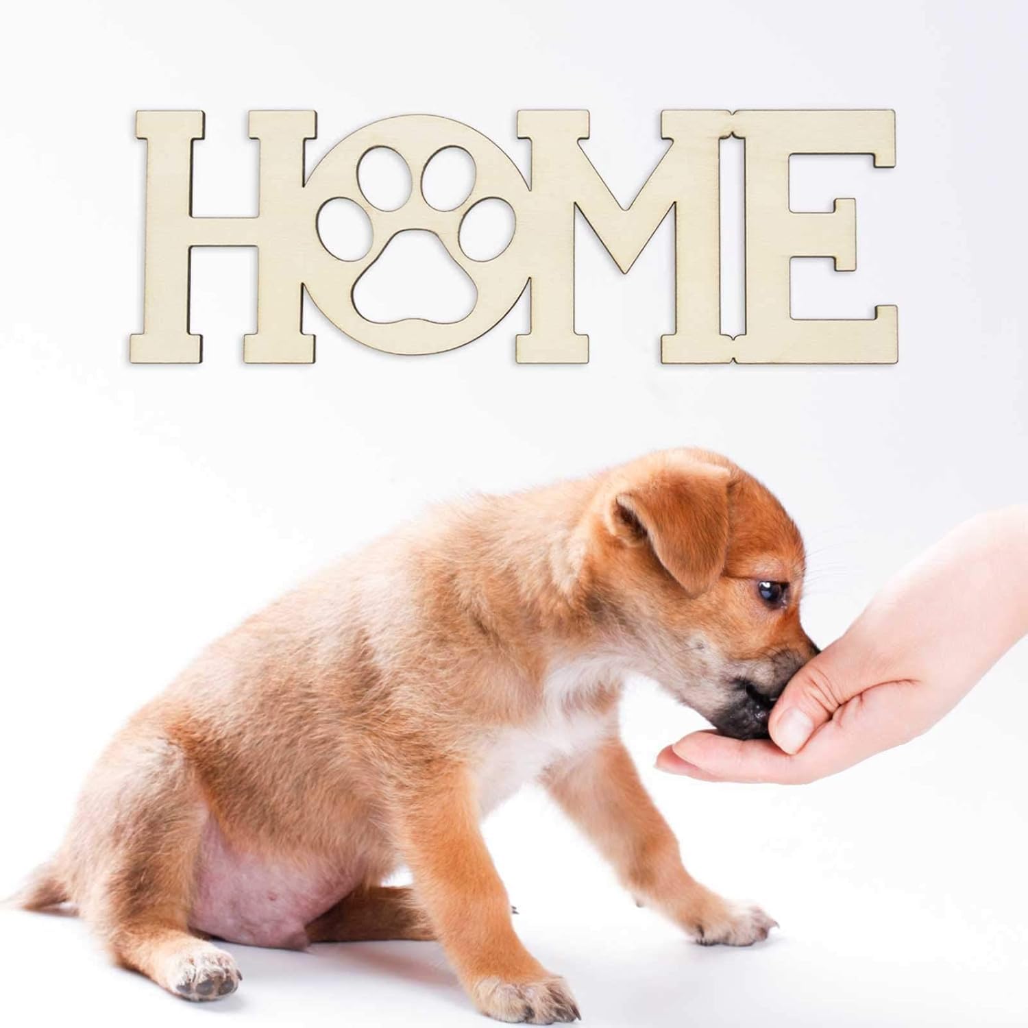 Puppy sniffing a hand with 'HOME' decorative sign in the background