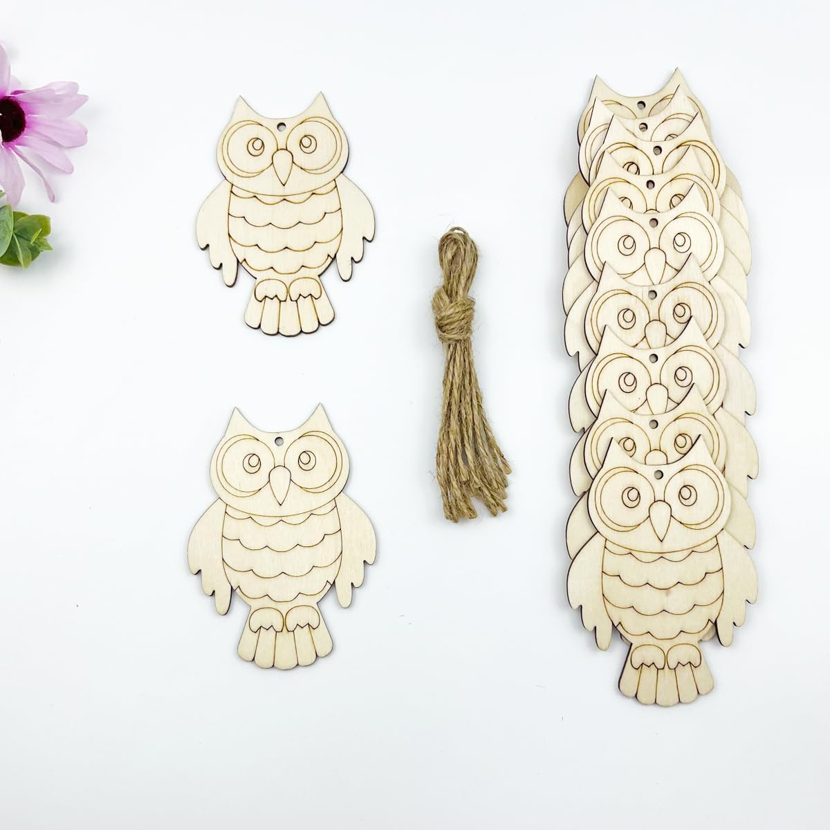 Wooden owl-shaped bookmarks with a string on a white background