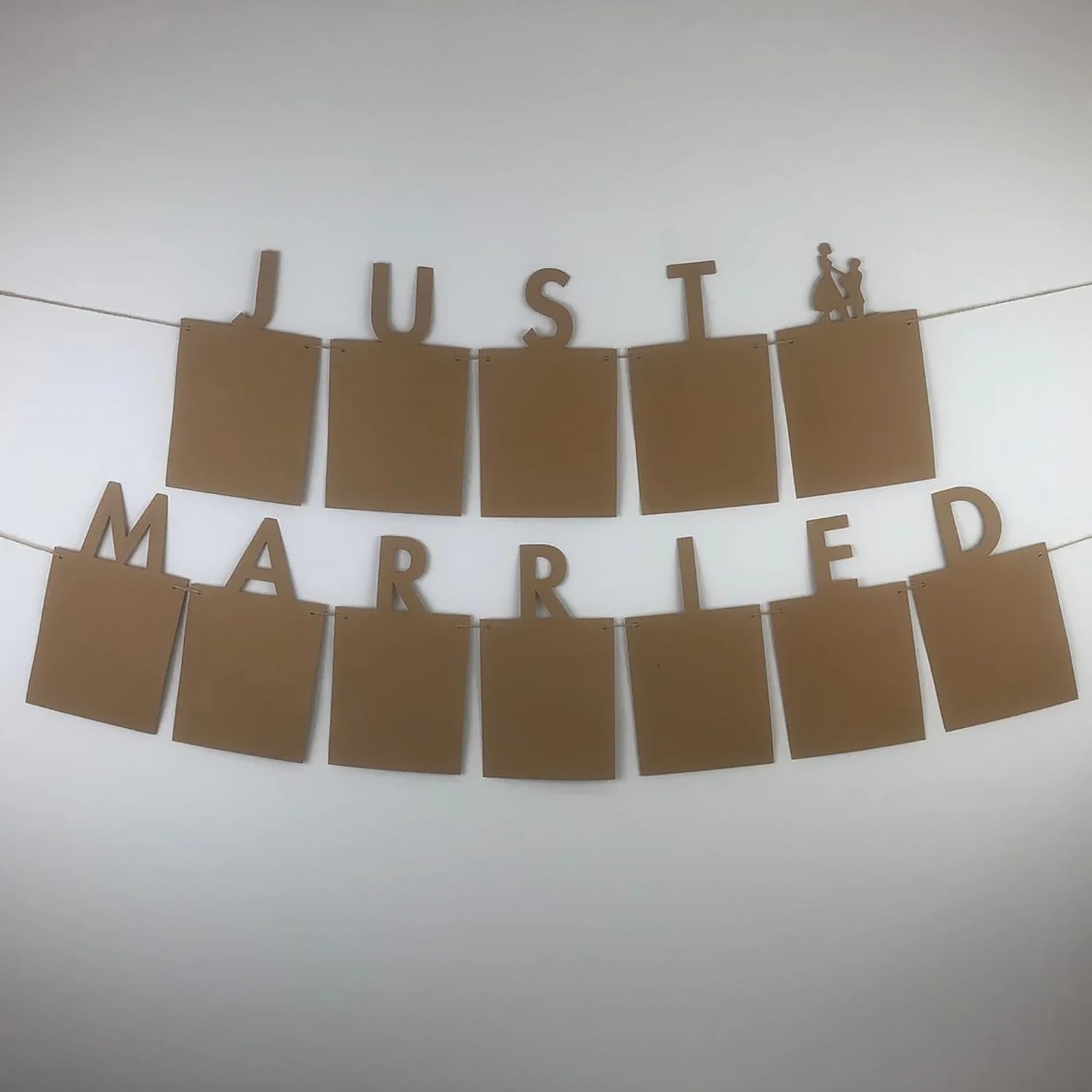 just married photo banner bunting