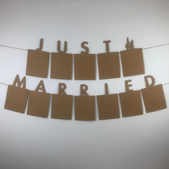 just married photo banner bunting