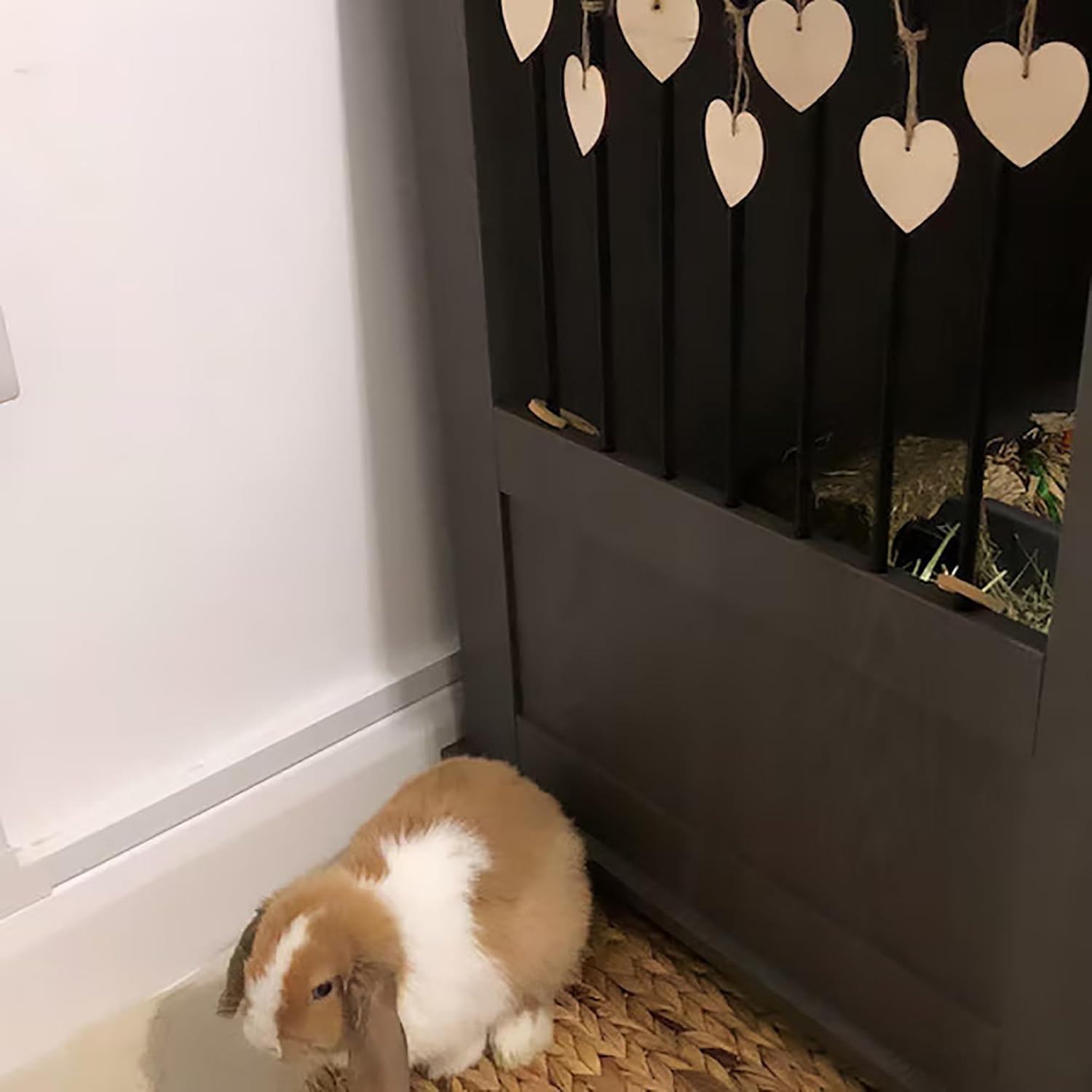 Brown and white rabbit sitting on a woven mat next to a dark wall with heart decorations.