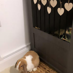 Brown and white rabbit sitting on a woven mat next to a dark wall with heart decorations.