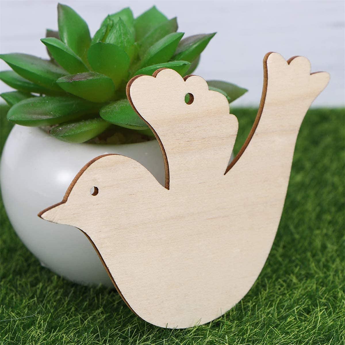 Wooden dove ornament with a succulent plant in the background