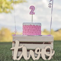 Pink cake on a wooden swing with 'two' sign outdoors