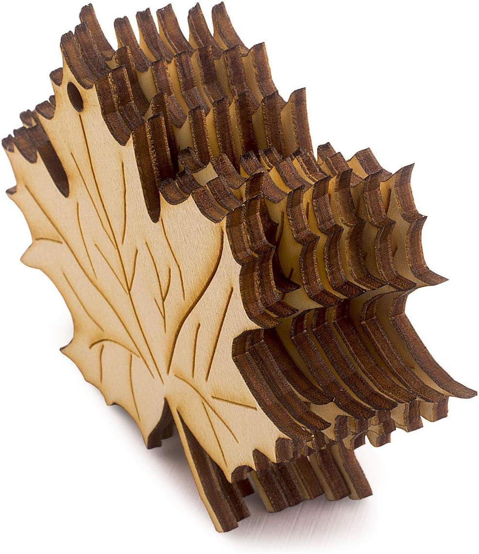 Wooden leaf-shaped coaster set on a white background