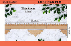 Wooden trim sample with measurements on a white background with green leaves.