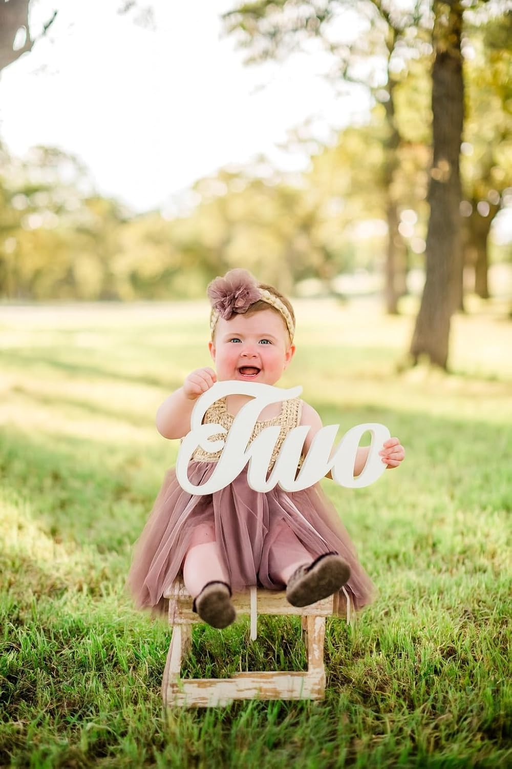 Child in a pink dress holding a 'Two' sign outdoors on a grassy area.