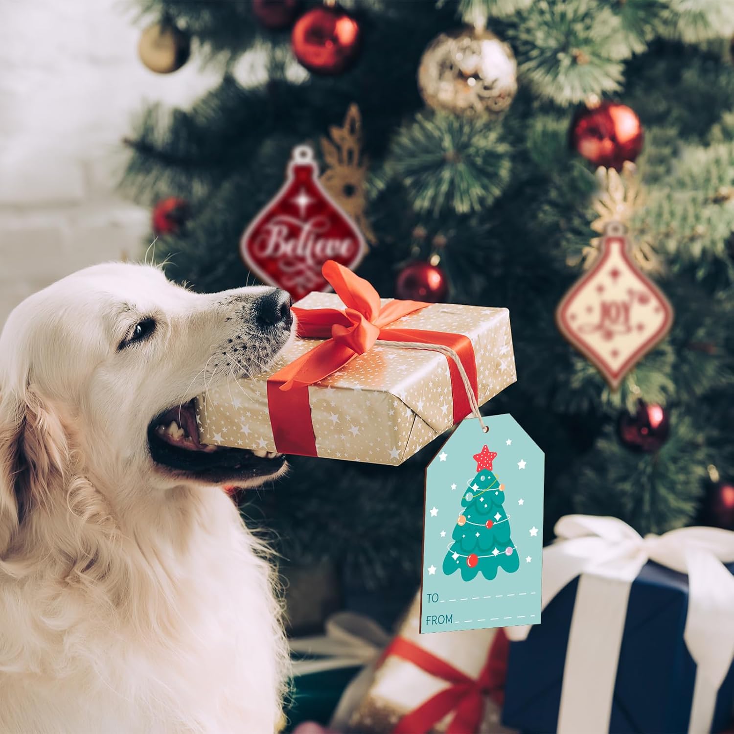 Dog with a Christmas gift in front of a decorated tree