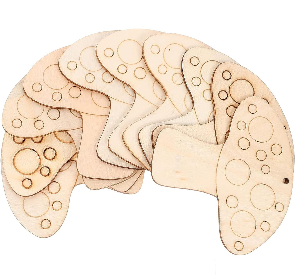 Wooden brain puzzle toy on a white background