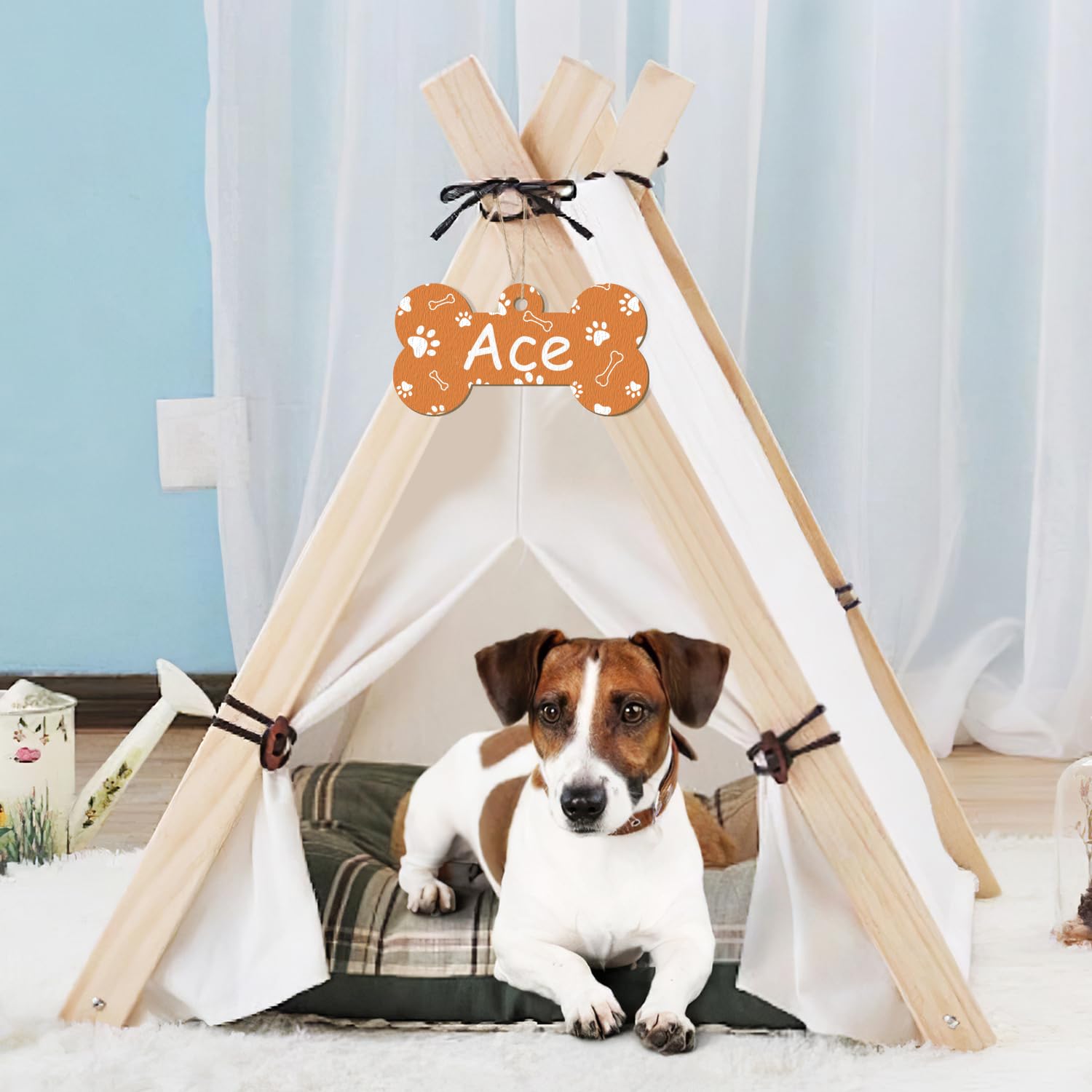 Dog sitting inside a wooden pet teepee with a name tag labeled 'Ace' against a light blue curtain background.
