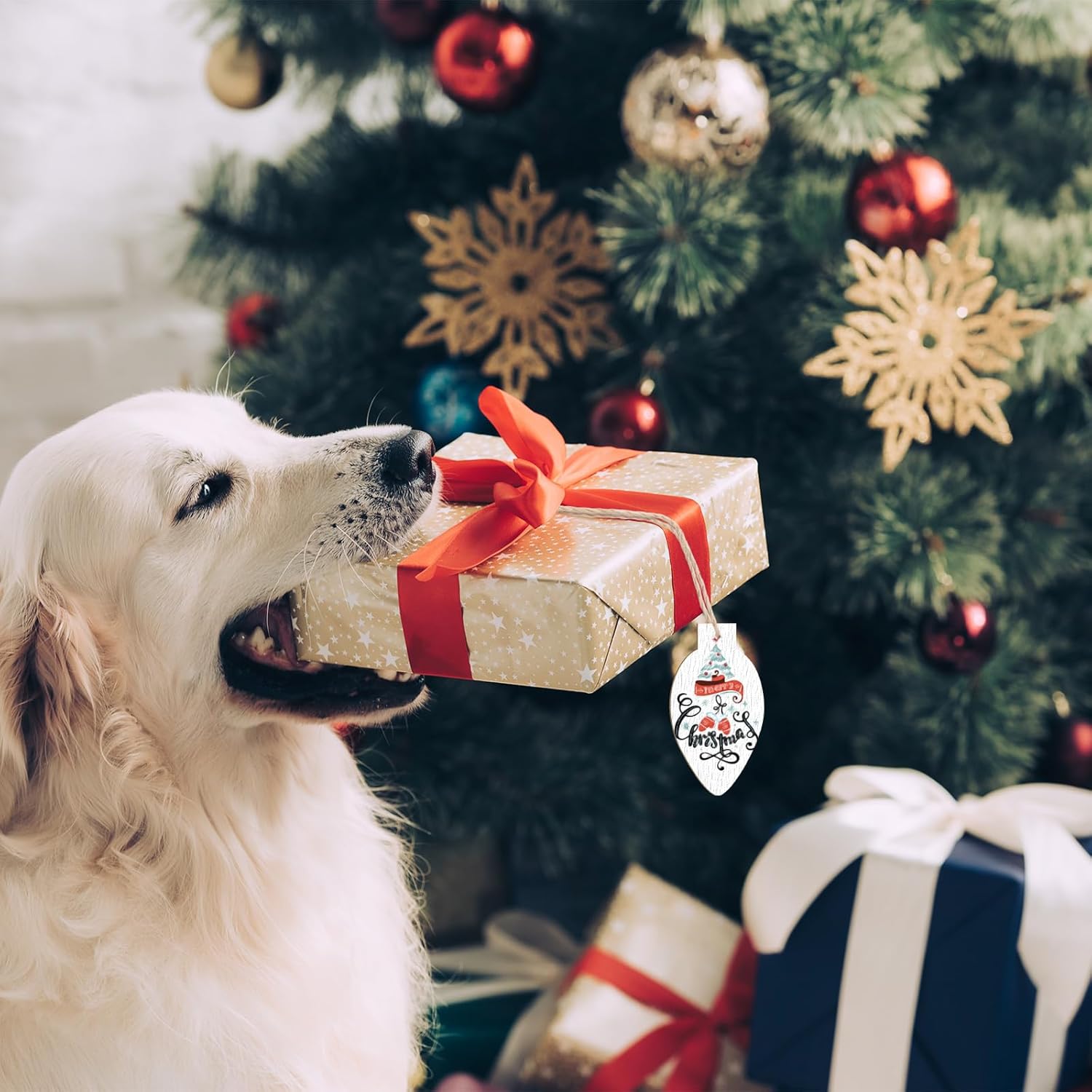 Dog with a gift box in front of a decorated Christmas tree