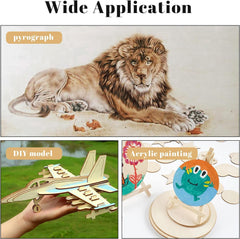 Collage of a lion painting, wooden airplane model, and acrylic painting with text 'Wide Application' and 'pyrograph', 'DIY model', and 'Acrylic painting'.