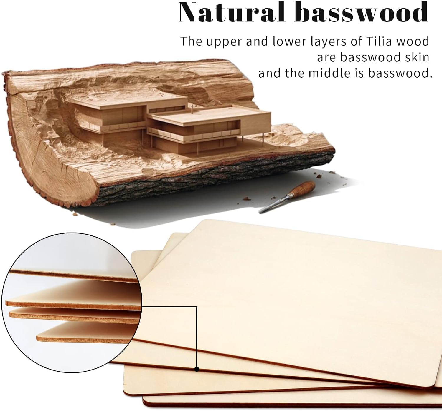 Cross-section of basswood with detailed explanation and close-up of wood layers.