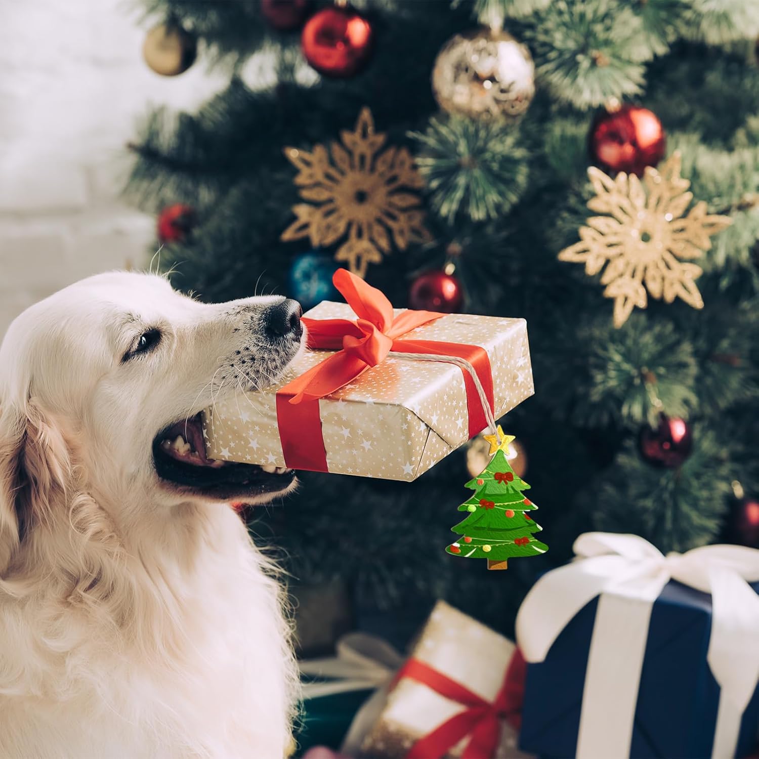 Dog looking at a gift box with a Christmas tree in the background