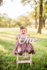 Child in a pink dress sitting on a small stool with a 'One' sign outdoors.