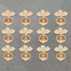 Set of wooden baby milestone cards with floral designs and month labels on a gray background.