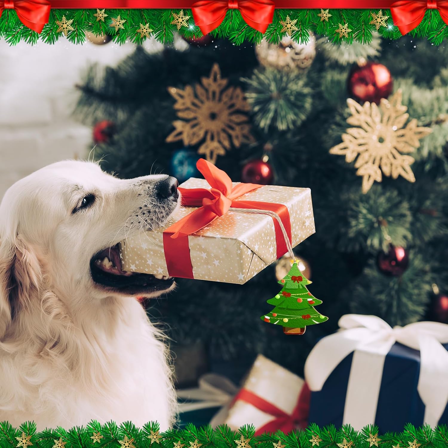 Dog with a gift box in front of a decorated Christmas tree
