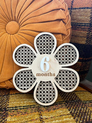 Cliths Double Sided Baby Monthly Photoshoot Props Interchangeable Numbers Milestone Card for Newborn, Baby Shower Gift (6x6.5 Inch)