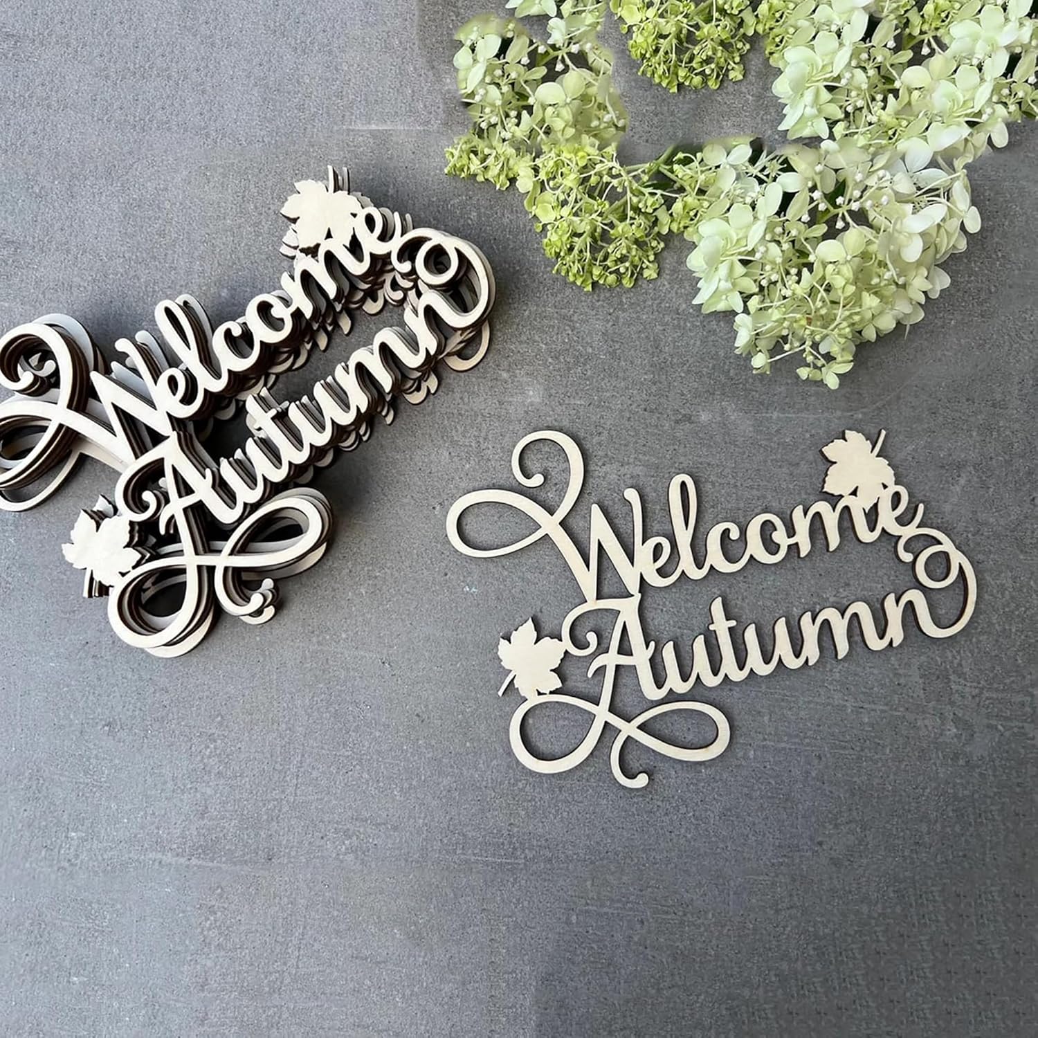 Wooden 'Welcome Autumn' decorative sign with floral elements on a gray surface.