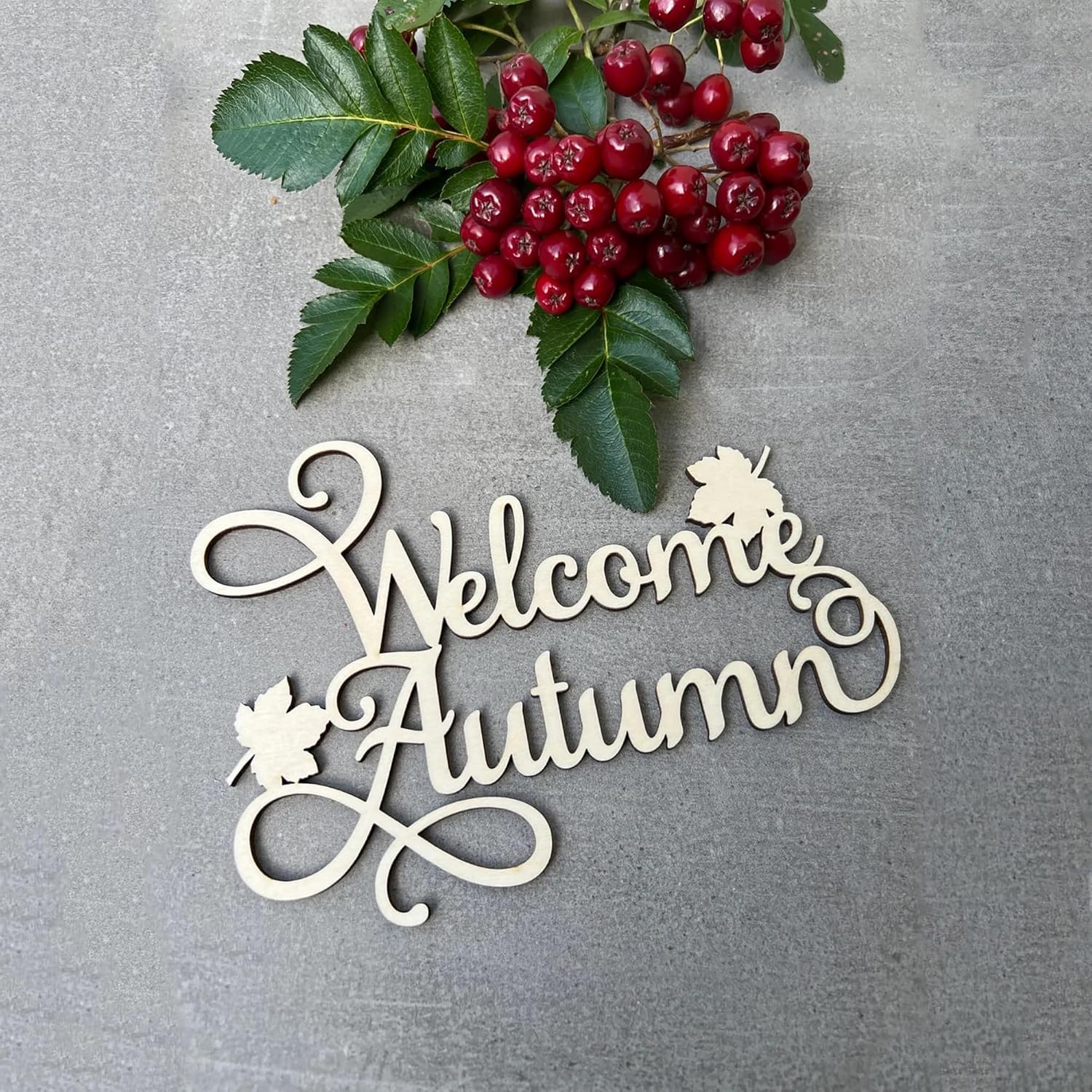 Decorative sign with 'Welcome Autumn' text on a gray background with berries and leaves.
