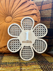 Cliths Double Sided Baby Monthly Photoshoot Props Interchangeable Numbers Milestone Card for Newborn, Baby Shower Gift (6x6.5 Inch)