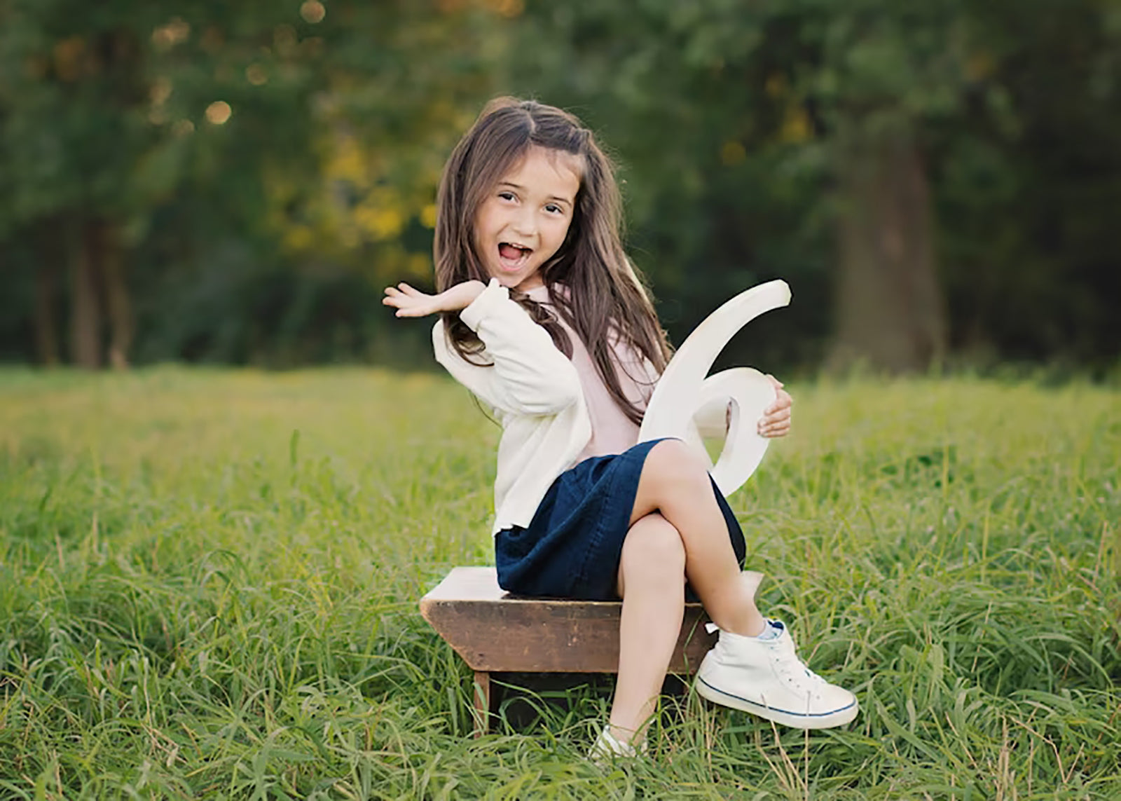 sixth birthday photo prop
