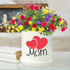 reusable plastic stencil for decoration