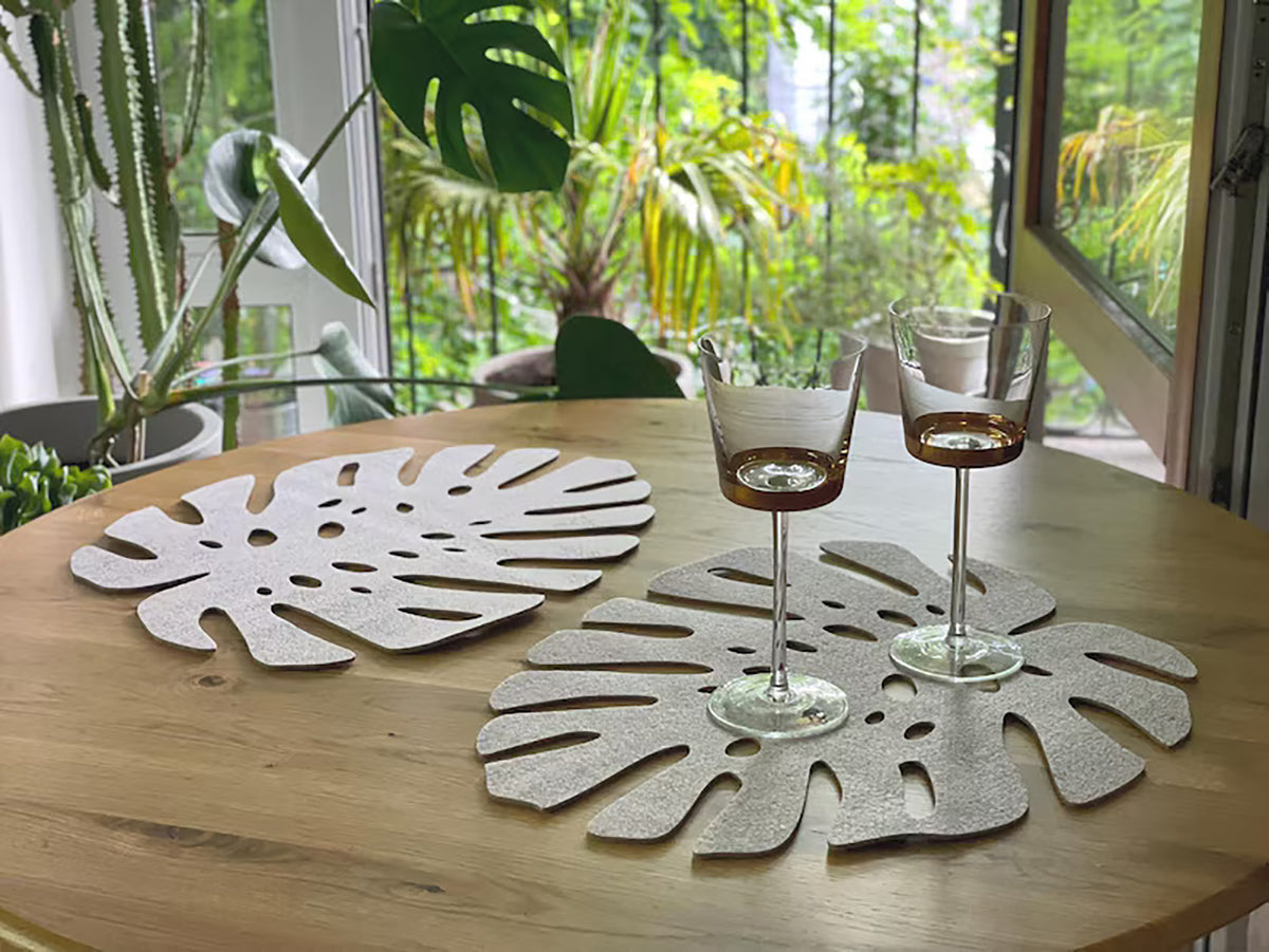 felt trivet placemat