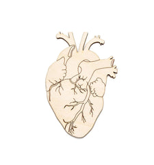 anatomical heart wooden cutouts for painting
