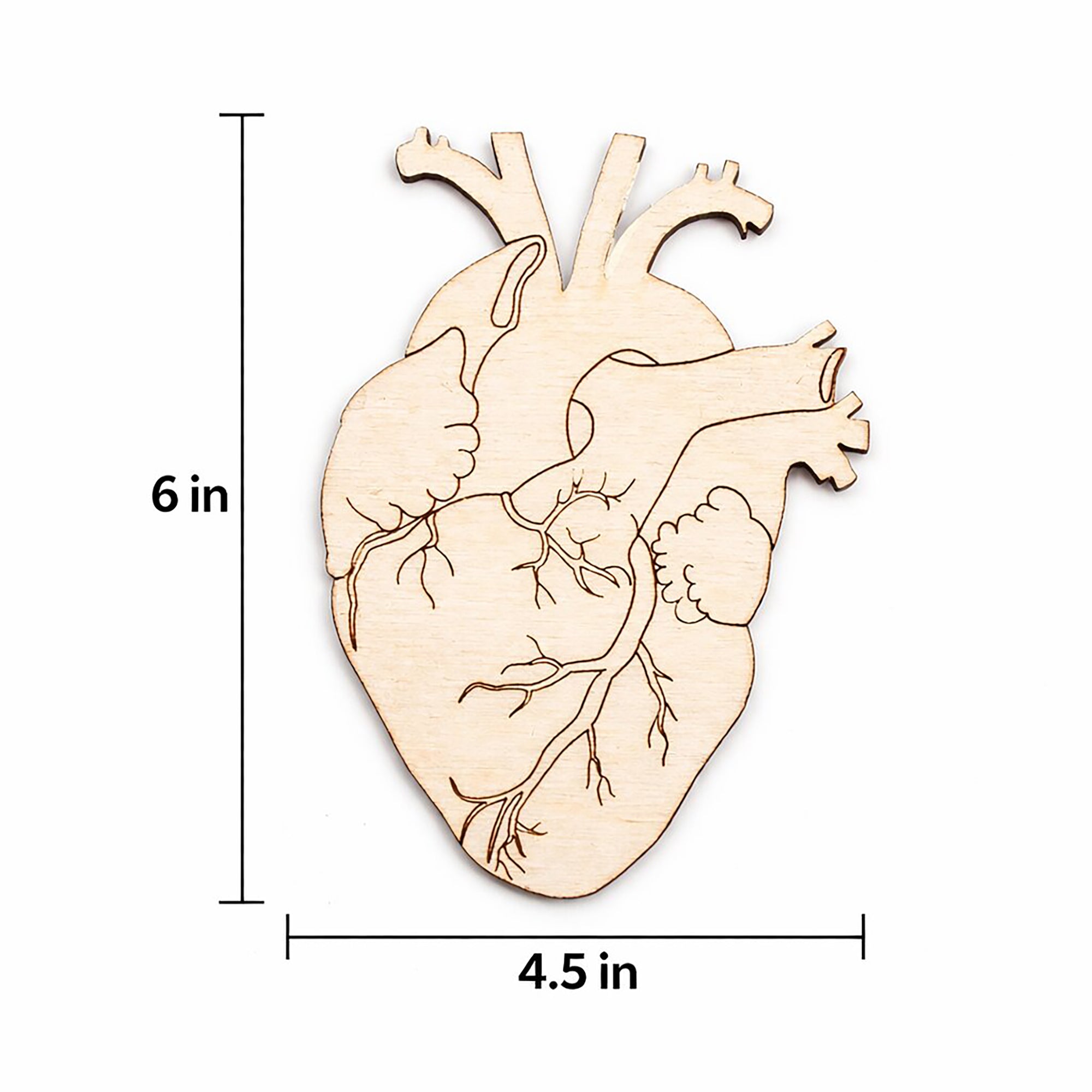 engraved heart wood shapes for art projects