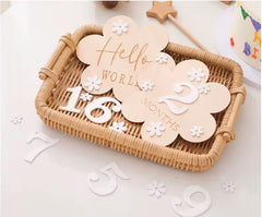 baby monthly milestone cards flower