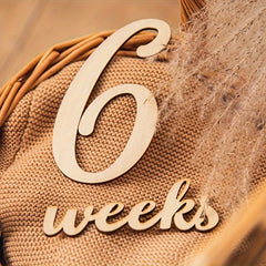 baby monthly milestone markers