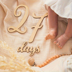 baby photo milestone discs