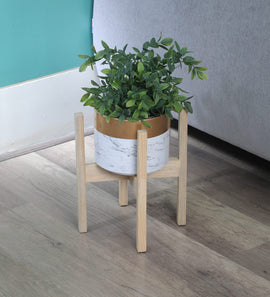 plant stand for living room