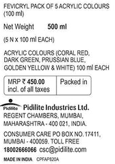Made in India Fevicryl Acrylic Colour