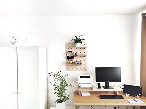 peg board for wall Shelves Display Unit