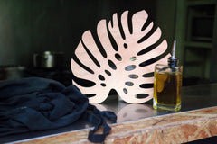 AmericanElm Wooden Placemat and Coaster for Dining table (1 Placemat 30x33 cm, 3 coaster 9x9 cm )